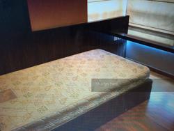 Rocca Balestier (D12), Apartment #128346552